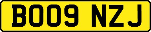 BO09NZJ