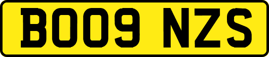 BO09NZS
