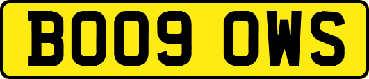 BO09OWS