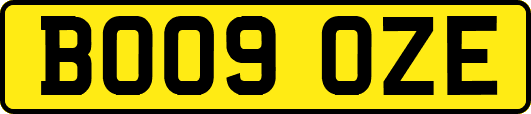 BO09OZE