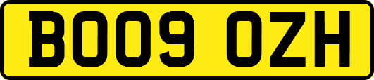 BO09OZH
