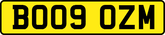 BO09OZM