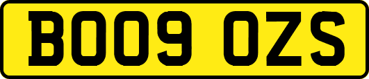 BO09OZS