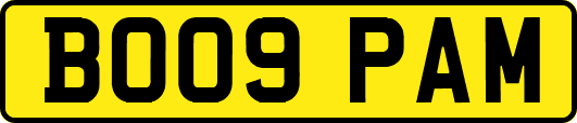 BO09PAM