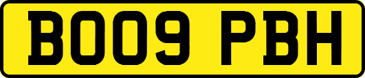 BO09PBH