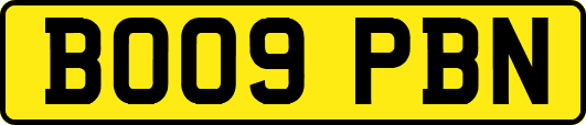 BO09PBN