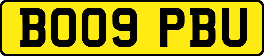 BO09PBU