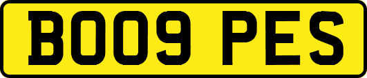 BO09PES