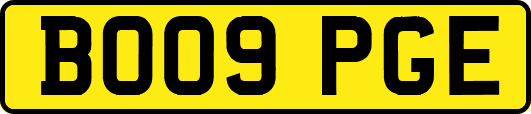 BO09PGE