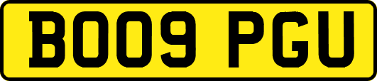 BO09PGU