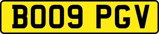BO09PGV