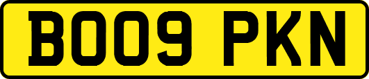 BO09PKN