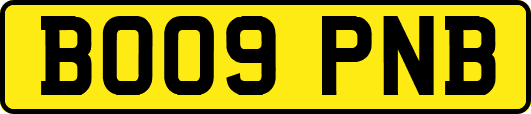 BO09PNB