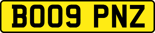 BO09PNZ
