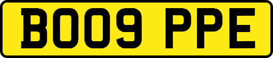 BO09PPE