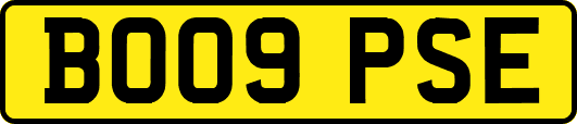 BO09PSE