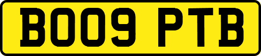 BO09PTB
