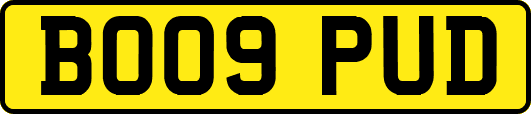 BO09PUD