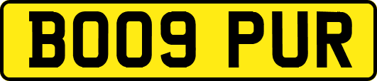BO09PUR