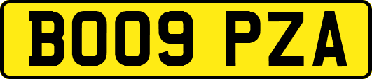BO09PZA