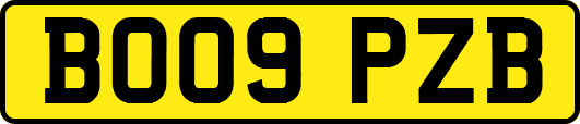 BO09PZB