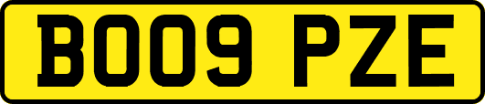 BO09PZE