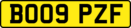 BO09PZF