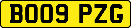 BO09PZG