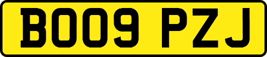 BO09PZJ