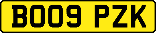BO09PZK