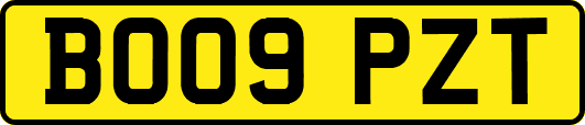 BO09PZT