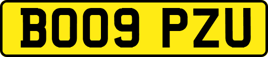 BO09PZU