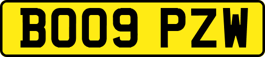 BO09PZW