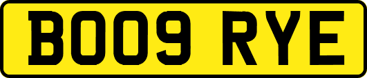 BO09RYE