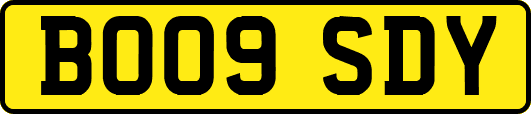 BO09SDY
