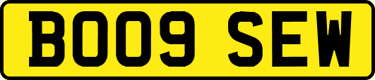 BO09SEW