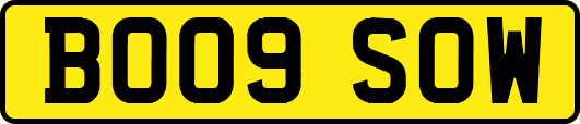 BO09SOW