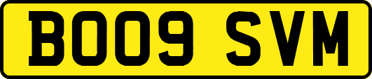 BO09SVM