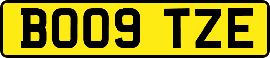 BO09TZE
