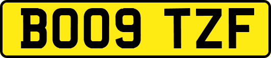 BO09TZF