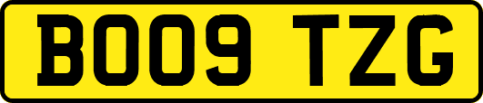 BO09TZG