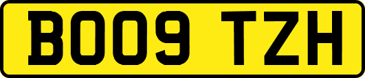 BO09TZH