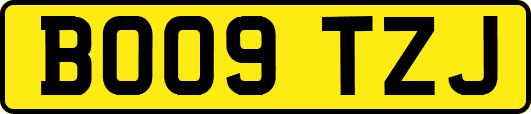 BO09TZJ