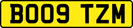 BO09TZM