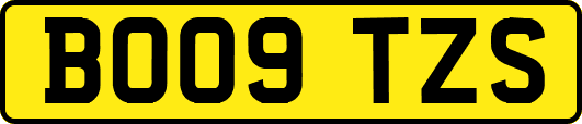 BO09TZS