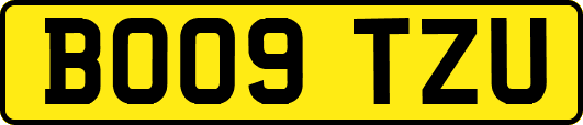 BO09TZU