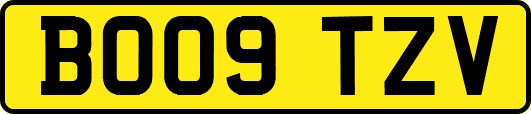 BO09TZV