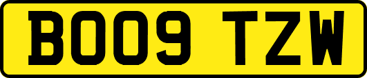 BO09TZW