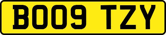 BO09TZY