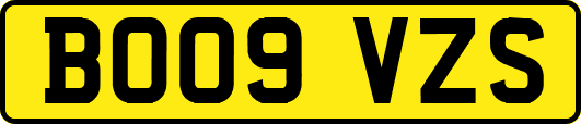 BO09VZS
